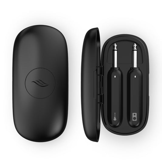 WB1 Wireless System