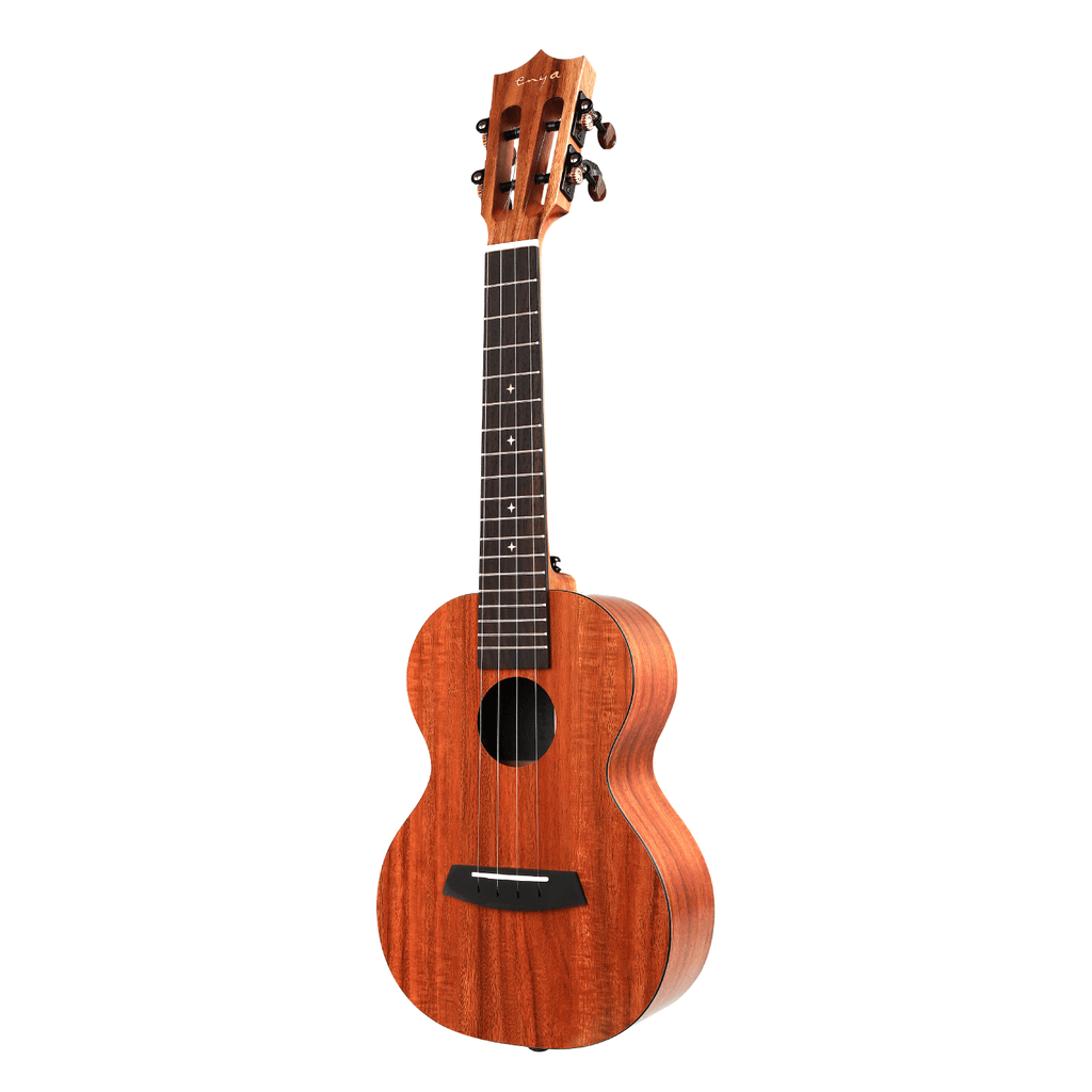 Ukulele online enya concert
